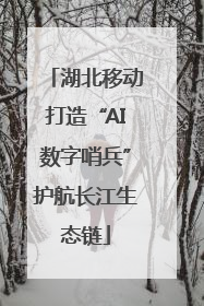 湖北移动打造“AI数字哨兵”护航长江生态链