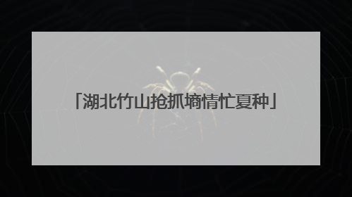 湖北竹山抢抓墒情忙夏种