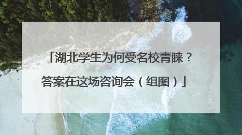 湖北学生为何受名校青睐？答案在这场咨询会（组图）