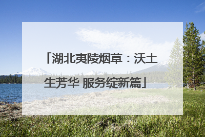 湖北夷陵烟草：沃土生芳华 服务绽新篇