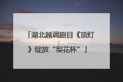 湖北越调剧目《顶灯》绽放“梨花杯”