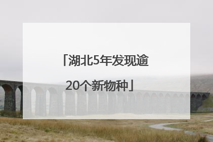湖北5年发现逾20个新物种
