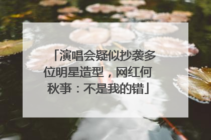 演唱会疑似抄袭多位明星造型，网红何秋亊：不是我的错