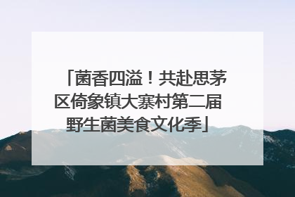 菌香四溢！共赴思茅区倚象镇大寨村第二届野生菌美食文化季