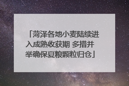 菏泽各地小麦陆续进入成熟收获期 多措并举确保夏粮颗粒归仓