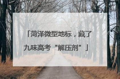 菏泽微型地标，藏了九味高考“解压剂”