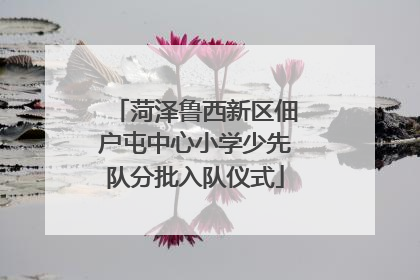 菏泽鲁西新区佃户屯中心小学少先队分批入队仪式