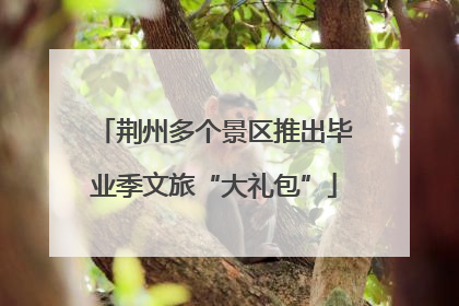 荆州多个景区推出毕业季文旅“大礼包”