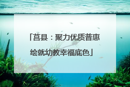 莒县：聚力优质普惠 绘就幼教幸福底色