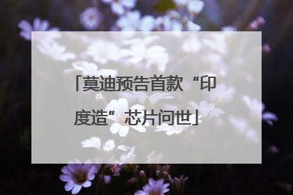 莫迪预告首款“印度造”芯片问世