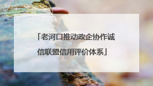 老河口推动政企协作诚信联盟信用评价体系