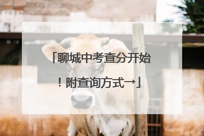 聊城中考查分开始！附查询方式→