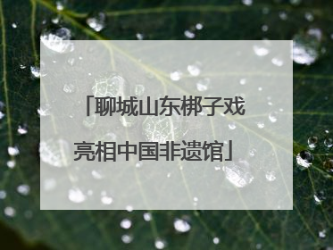 聊城山东梆子戏亮相中国非遗馆