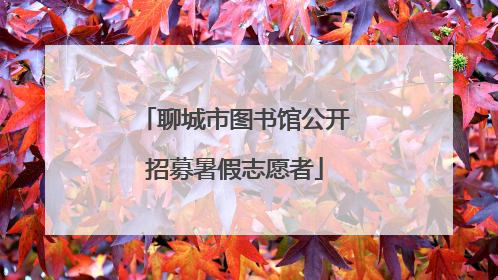 聊城市图书馆公开招募暑假志愿者