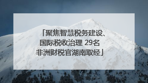 聚焦智慧税务建设、国际税收治理 29名非洲财税官湖南取经