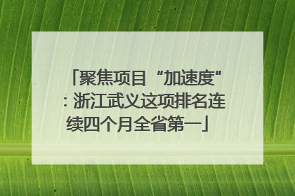 聚焦项目“加速度”：浙江武义这项排名连续四个月全省第一