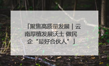 聚焦高质量发展｜云南厚植发展沃土 做民企“最好合伙人”