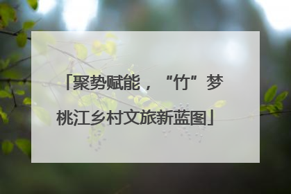 聚势赋能，“竹”梦桃江乡村文旅新蓝图