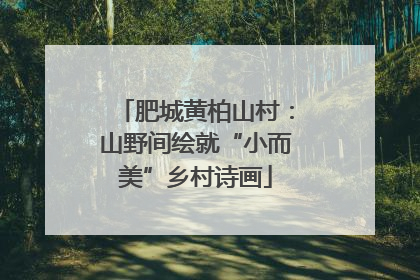 肥城黄柏山村：山野间绘就“小而美”乡村诗画