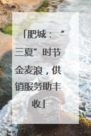 肥城：“三夏”时节金麦浪，供销服务助丰收