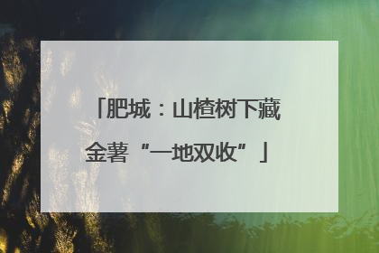 肥城：山楂树下藏金薯“一地双收”