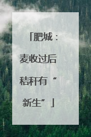 肥城：麦收过后秸秆有“新生”