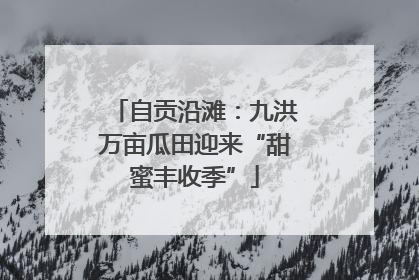 自贡沿滩：九洪万亩瓜田迎来“甜蜜丰收季”