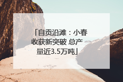 自贡沿滩：小春收获新突破 总产量近3.5万吨