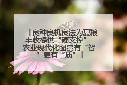 良种良机良法为夏粮丰收提供“硬支撑” 农业现代化图景有“智”更有“质”
