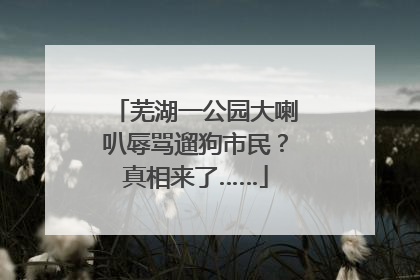 芜湖一公园大喇叭辱骂遛狗市民？真相来了……