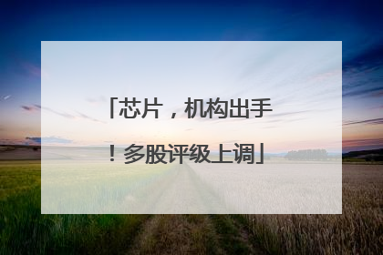 芯片，机构出手！多股评级上调