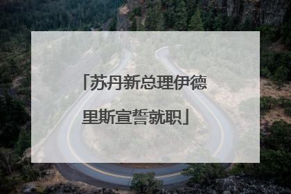 苏丹新总理伊德里斯宣誓就职