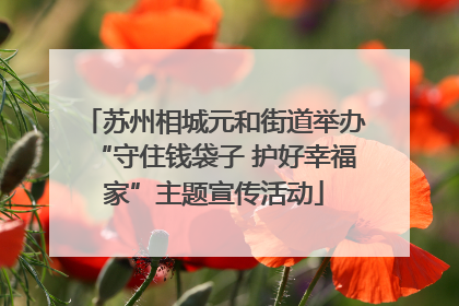 苏州相城元和街道举办“守住钱袋子 护好幸福家”主题宣传活动