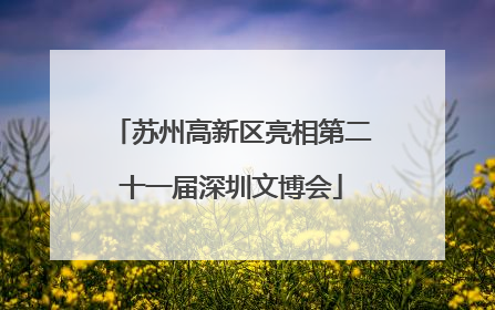 苏州高新区亮相第二十一届深圳文博会