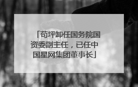 苟坪卸任国务院国资委副主任，已任中国星网集团董事长
