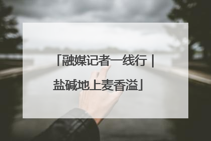 融媒记者一线行｜盐碱地上麦香溢