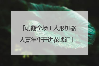 萌翻全场！人形机器人嘉年华开进花博汇