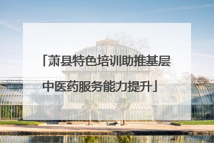 萧县特色培训助推基层中医药服务能力提升