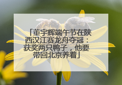 董宇辉端午节在陕西汉江赛龙舟夺冠：获奖两只鸭子，他要带回北京养着