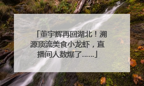 董宇辉再回湖北！溯源顶流美食小龙虾，直播间人数爆了……
