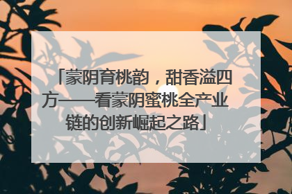 蒙阴育桃韵，甜香溢四方——看蒙阴蜜桃全产业链的创新崛起之路