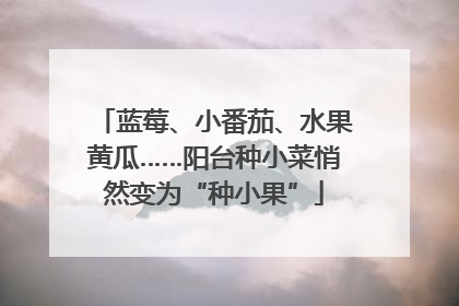 蓝莓、小番茄、水果黄瓜……阳台种小菜悄然变为“种小果”