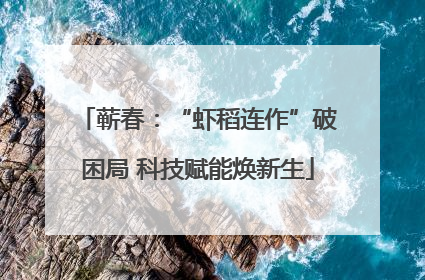 蕲春：“虾稻连作”破困局 科技赋能焕新生