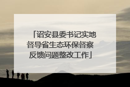 诏安县委书记实地督导省生态环保督察反馈问题整改工作