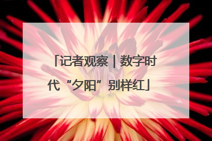 记者观察｜数字时代“夕阳”别样红