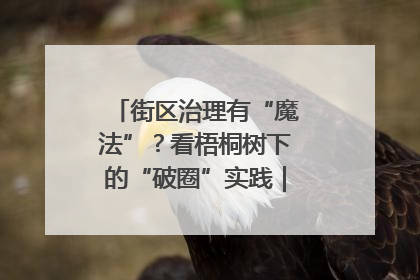 街区治理有“魔法”？看梧桐树下的“破圈”实践｜我在街区当书记