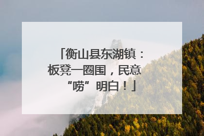 衡山县东湖镇：板凳一圈围，民意“唠”明白！
