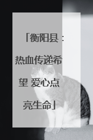 衡阳县：热血传递希望 爱心点亮生命