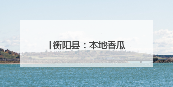 衡阳县：本地香瓜抢“鲜”上市 农旅融合助力乡村振兴