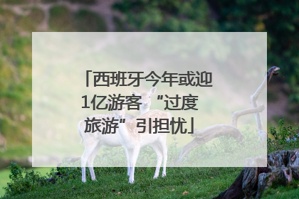 西班牙今年或迎1亿游客 “过度旅游”引担忧